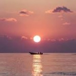 dawdsaf dawd Profile Picture