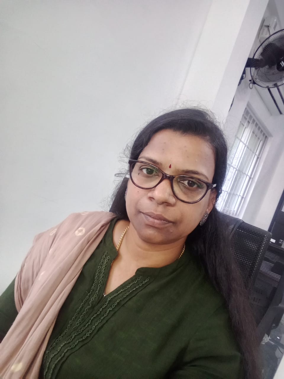 deepa sreegi Profile Picture