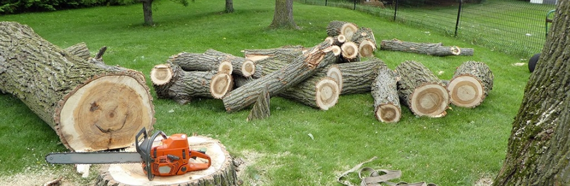 Maldonado Tree Service LLC Cover Image